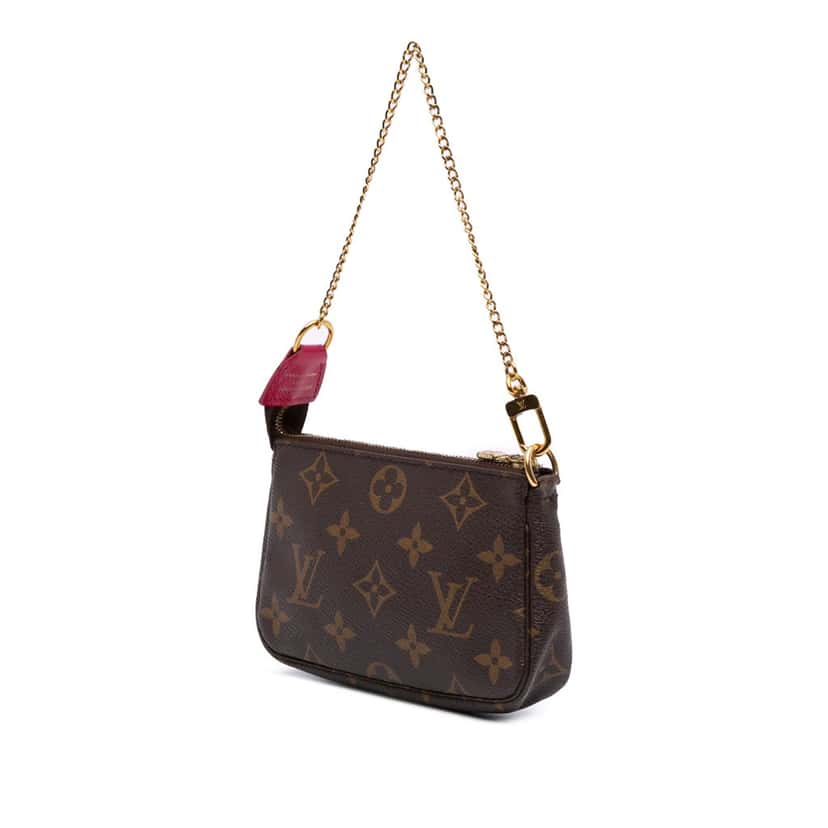 Louis Vuitton Monogram Giraffe Christmas Mini Pochette Accessoires Brown Canvas Good condition - Back View