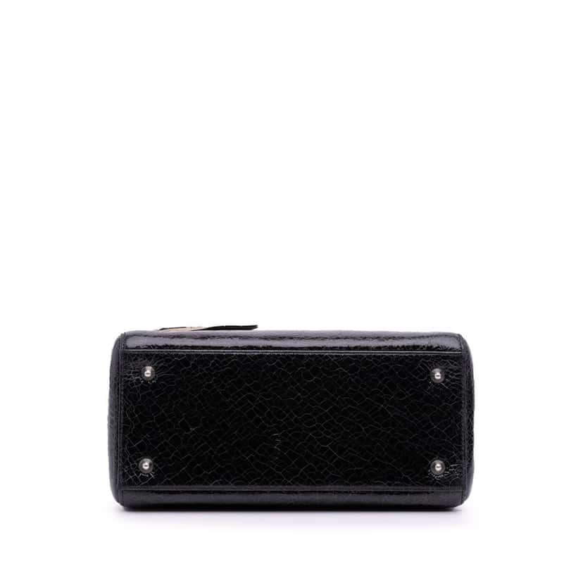 Dior Medium Ceramic Effect Deerskin Jeweled Swan Lady Dior Black Leather Good condition - Inside View