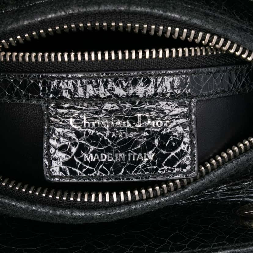 Dior Medium Ceramic Effect Deerskin Jeweled Swan Lady Dior Black Leather Good condition - Box View