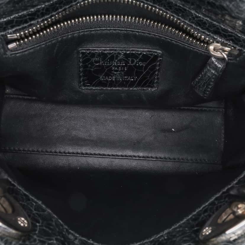 Dior Mini Ceramic Effect Deerskin Jeweled Swan Lady Dior Black Leather Good condition - Model View