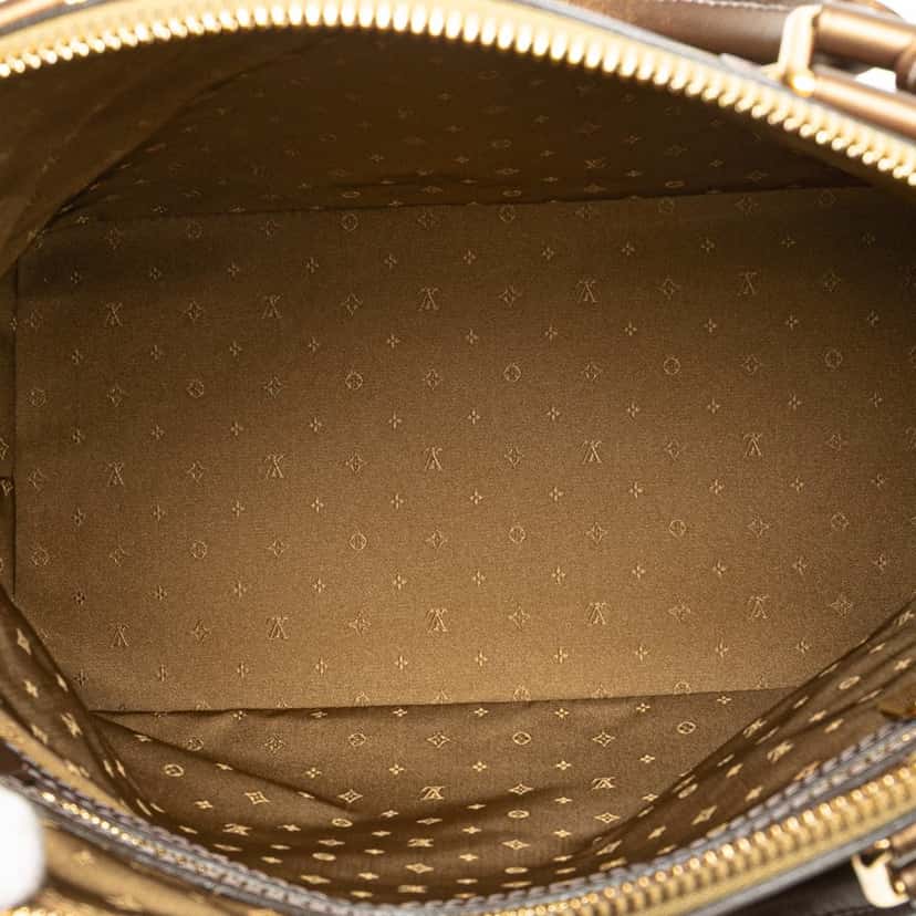 Louis Vuitton Suhali Lockit PM Brown Leather Good condition - Model View