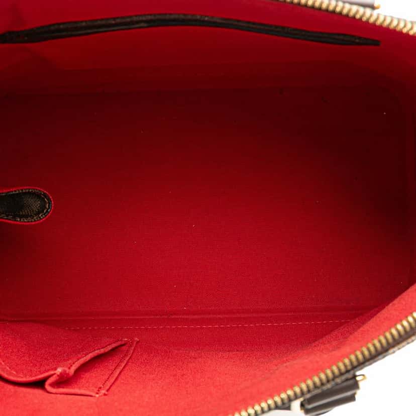 Louis Vuitton Damier Ebene Alma PM Brown Canvas Good condition - Model View