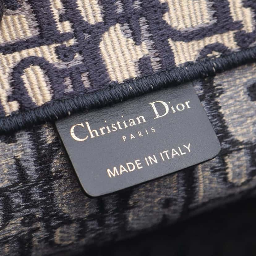 Dior Medium Oblique Canvas Book Tote Blue Canvas Good condition - Model View