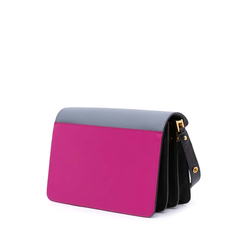 Marni Tricolor Leather Trunk Crossbody Pink Leather Good condition - Back View