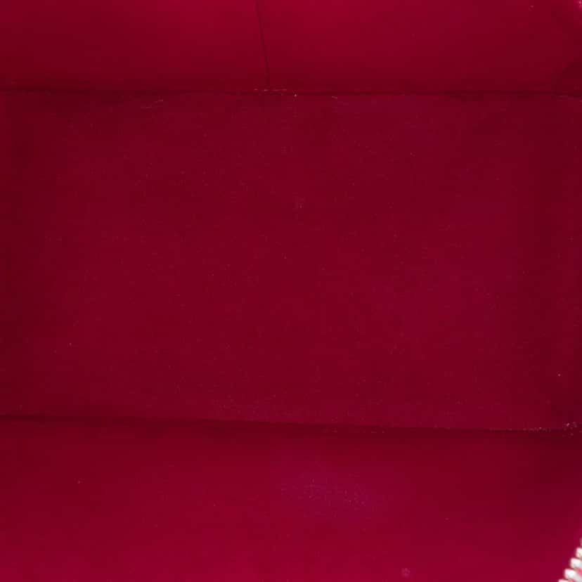 Louis Vuitton Epi Alma PM Pink Leather Good condition - Model View