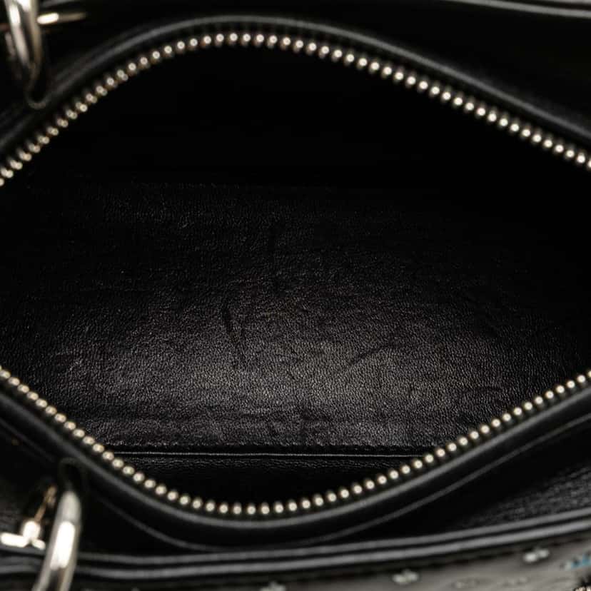 Dior Medium Calfskin Embroidered Flower Lady Dior Black Leather Good condition - Model View