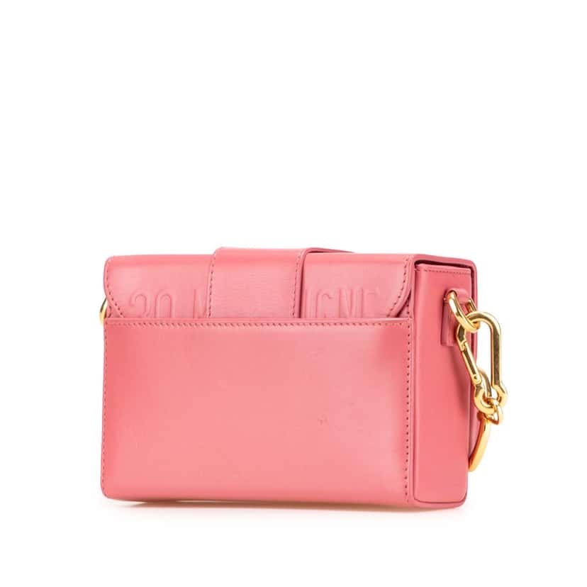 Dior Micro Smooth Calfskin 30 Montaigne Flap Pink Leather Good condition - Back View