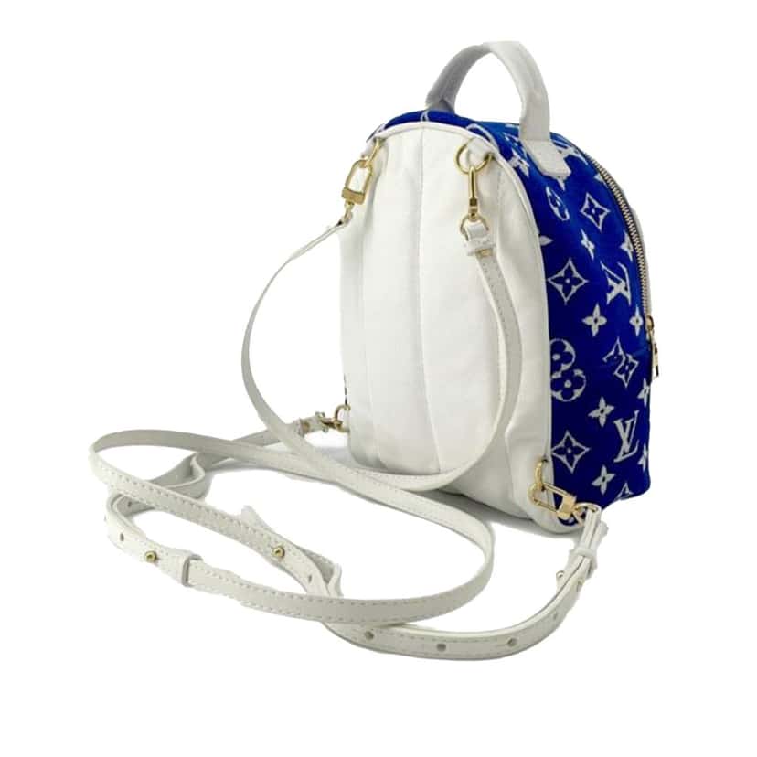 Louis Vuitton Monogram Jacquard Velvet Mini Palm Springs Blue Velvet Good condition - Back View