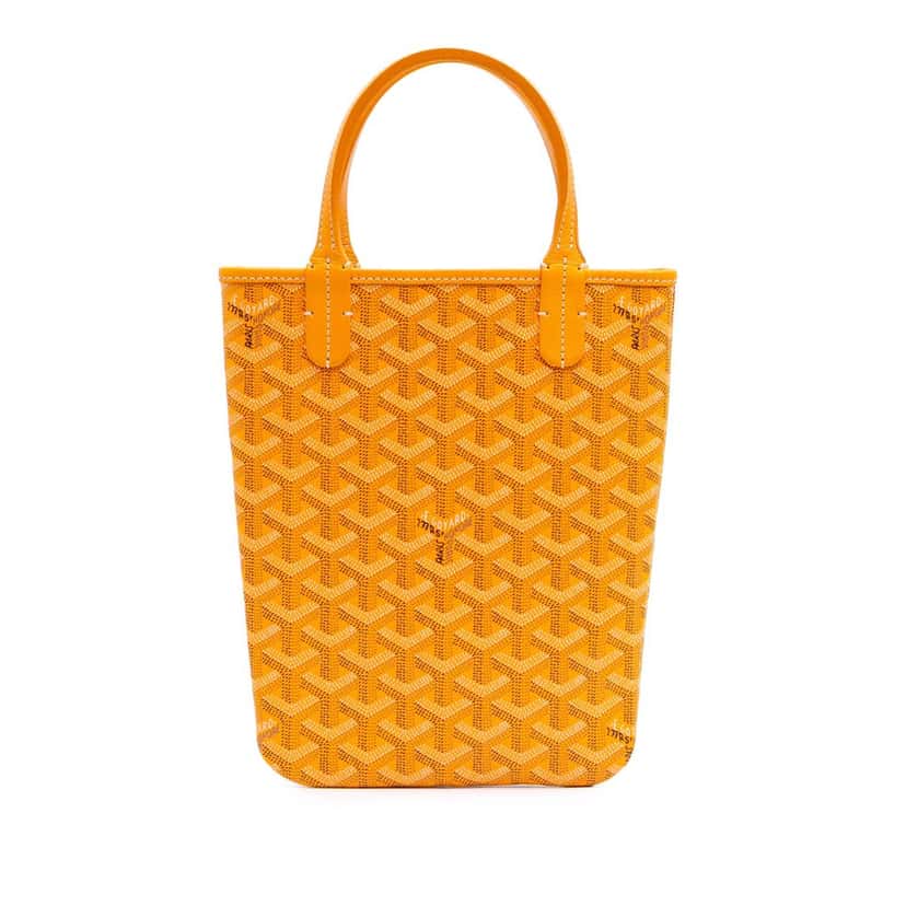 Goyard Goyardine Poitiers Claire Voie Yellow Canvas Good condition - Front View