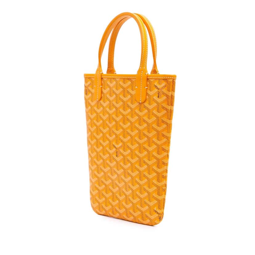 Goyard Goyardine Poitiers Claire Voie Yellow Canvas Good condition - Back View