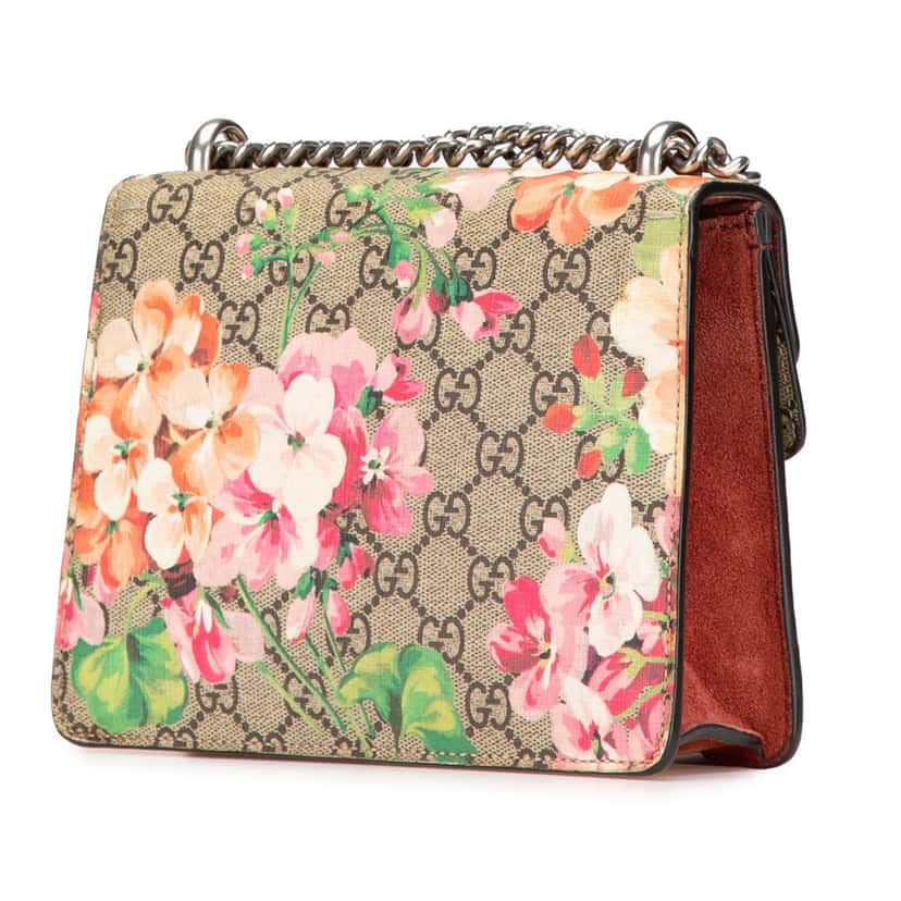 Gucci Mini GG Supreme Blooms Dionysus Crossbody Brown Canvas Good condition - Back View