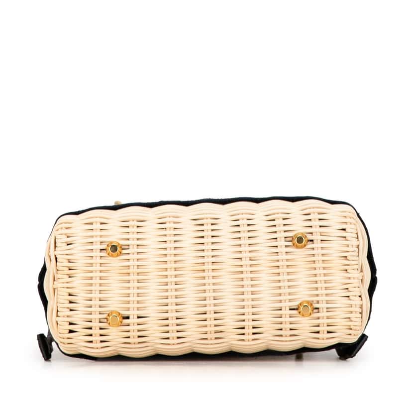 Dior Mini Oblique Wicker Lady Dior Brown Good condition - Model View