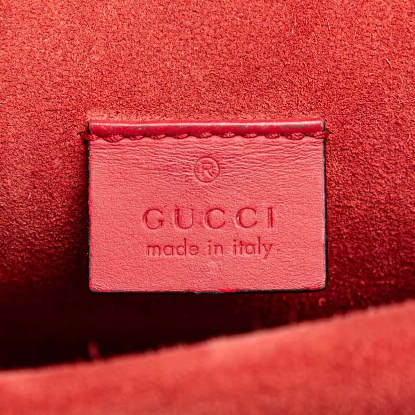Gucci Mini GG Supreme Dionysus Crossbody Brown Canvas Good condition - Box View