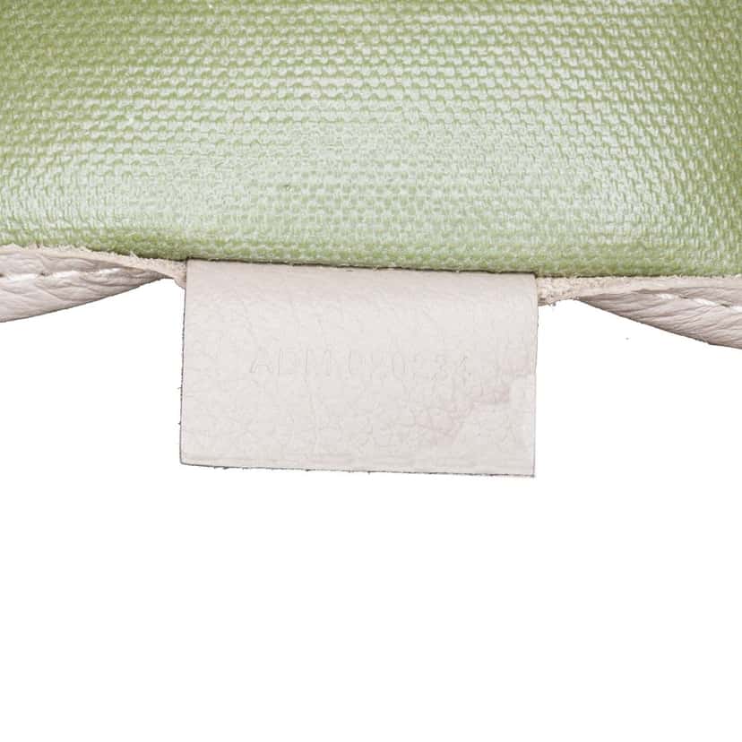 Goyard Goyardine Poitiers Claire Voie Grey Canvas Good condition - Box View