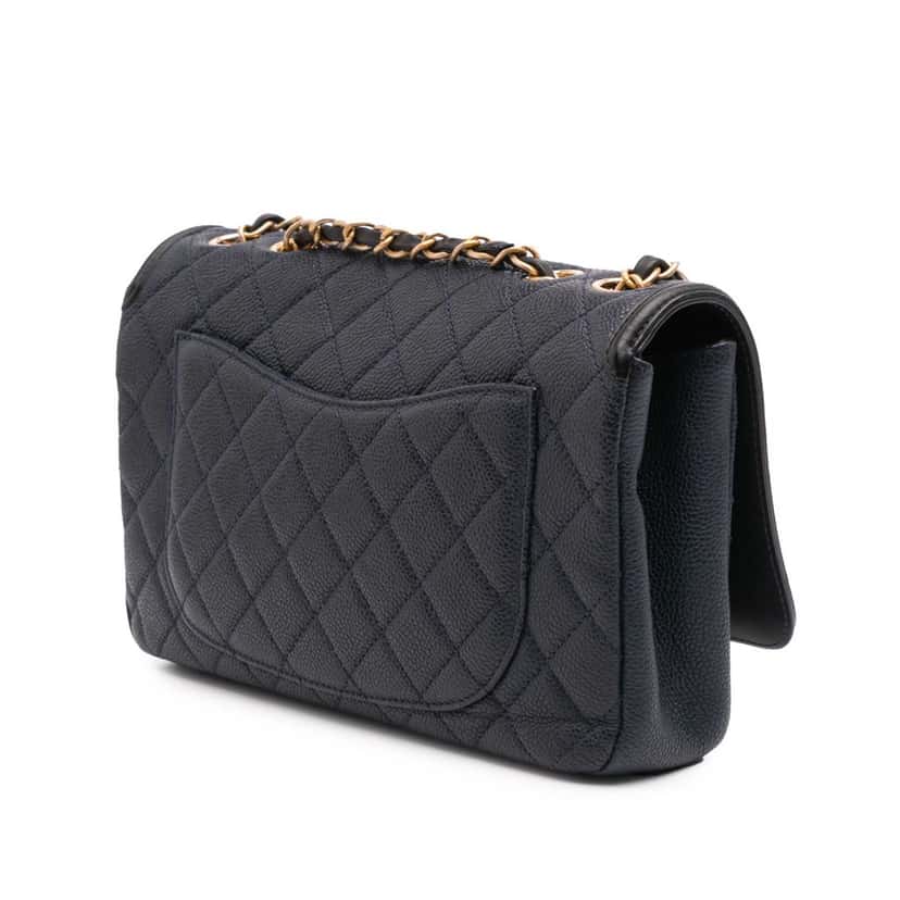 Chanel Medium Bicolor Caviar CC Filigree Flap Blue Leather Good condition - Back View