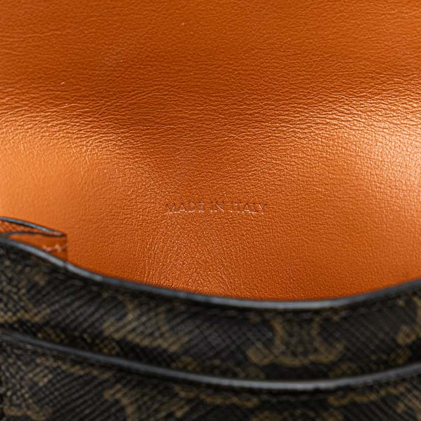 Celine Triomphe Coated Canvas Phone Pouch Flap Crossbody Brown Canvas Good condition - Box View
