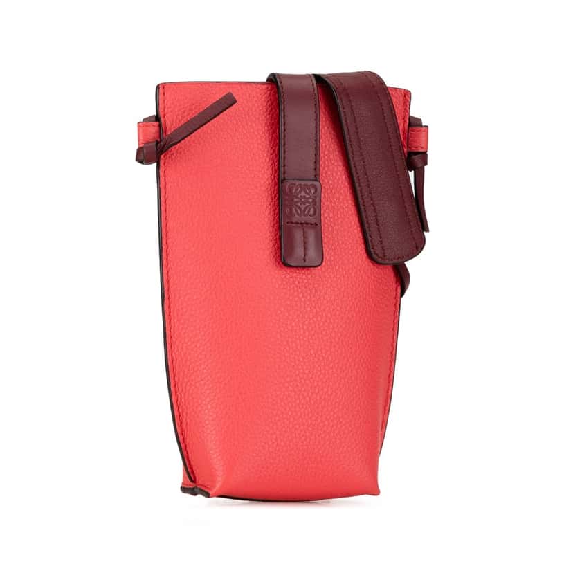 Loewe Gate Pocket Crossbody Pink Leather Good condition - Back View