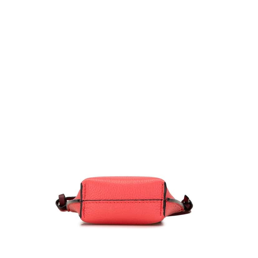 Loewe Gate Pocket Crossbody Pink Leather Good condition - Model View