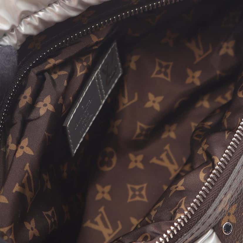 Louis Vuitton Monogram Econyl Pillow Bumbag Silver Good condition - Inside View