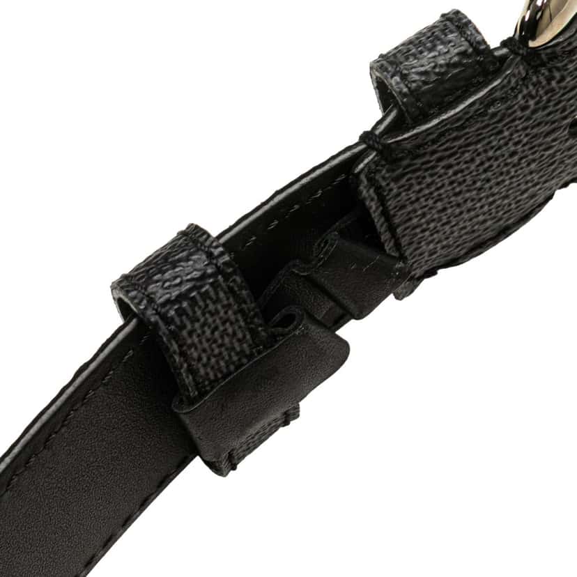 Louis Vuitton Damier Graphite Force Belt Grey Canvas Good condition - Box View