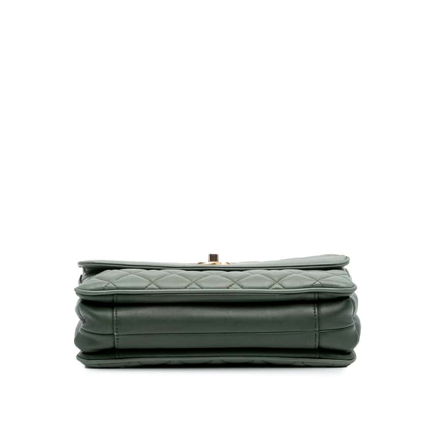 Chanel Medium Quilted Lambskin Daily Companion Flap Green Leather Good condition - Inside View