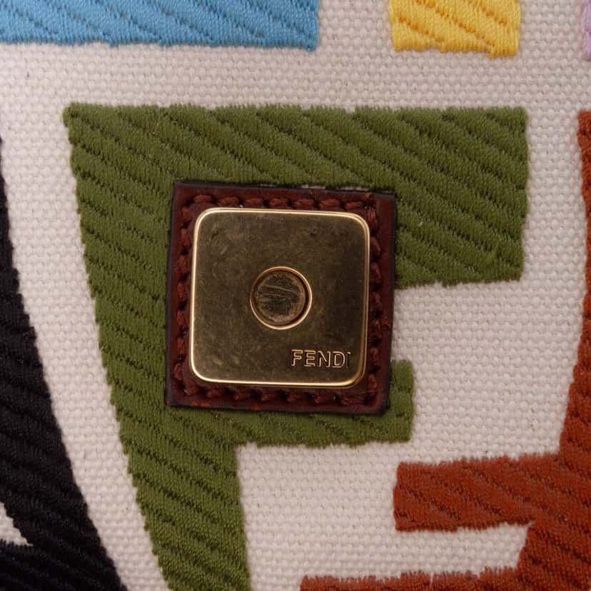 Fendi Sarah Coleman Zucca Embroidered Canvas Fish Eye Vertigo Baguette Satchel Brown Canvas Good condition - Box View