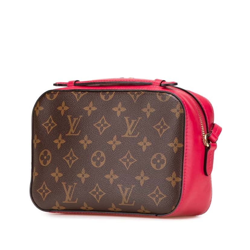 Louis Vuitton Monogram Saintonge Brown Canvas Very good condition - Back View