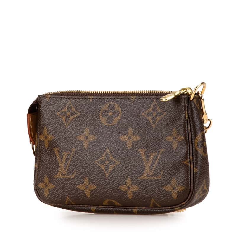 Louis Vuitton Monogram Trunks and Bags Mini Pochette Accessoires Brown Canvas Very good condition - Back View