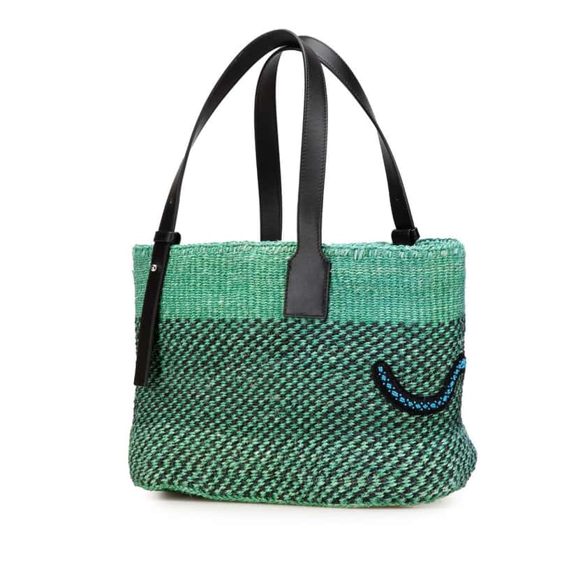 Loewe Paula's Ibiza Lizard Embroidered Raffia Tote Green Good condition - Back View