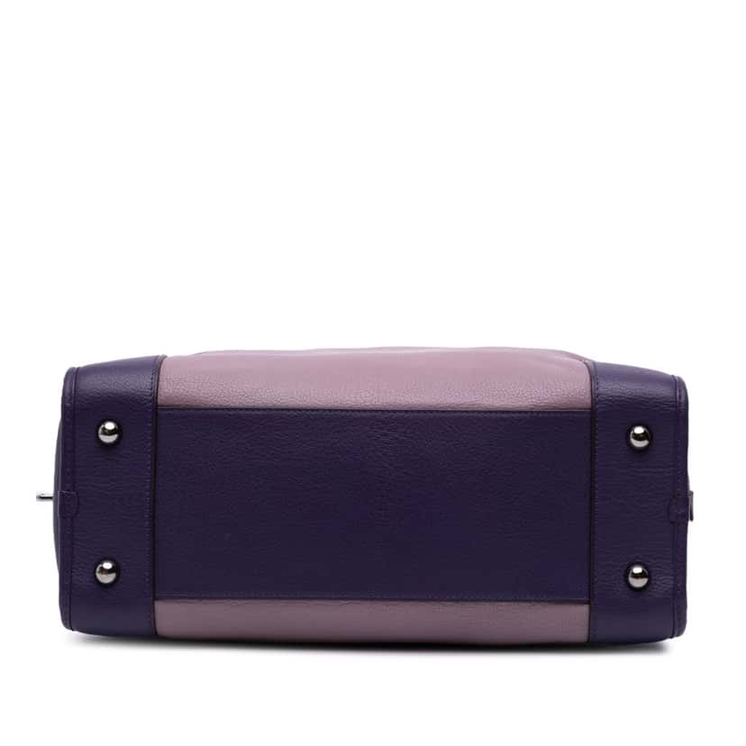 Loewe Tricolor Goatskin Amazona 36 Purple Leather Good condition - Inside View