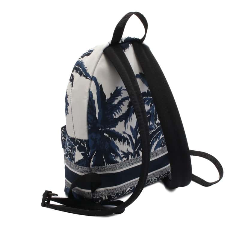 Dior Technical Fabric Palms Diortravel Backpack Blue Good condition - Back View