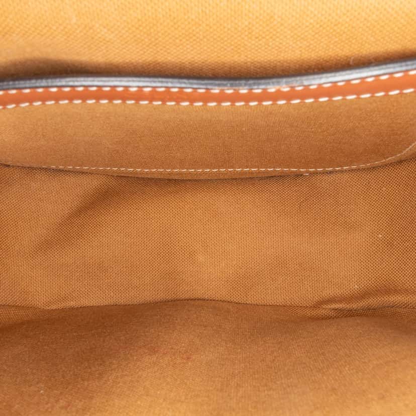 Celine Medium Triomphe Coated Canvas Folco Crossbody Brown Canvas Good condition - Model View