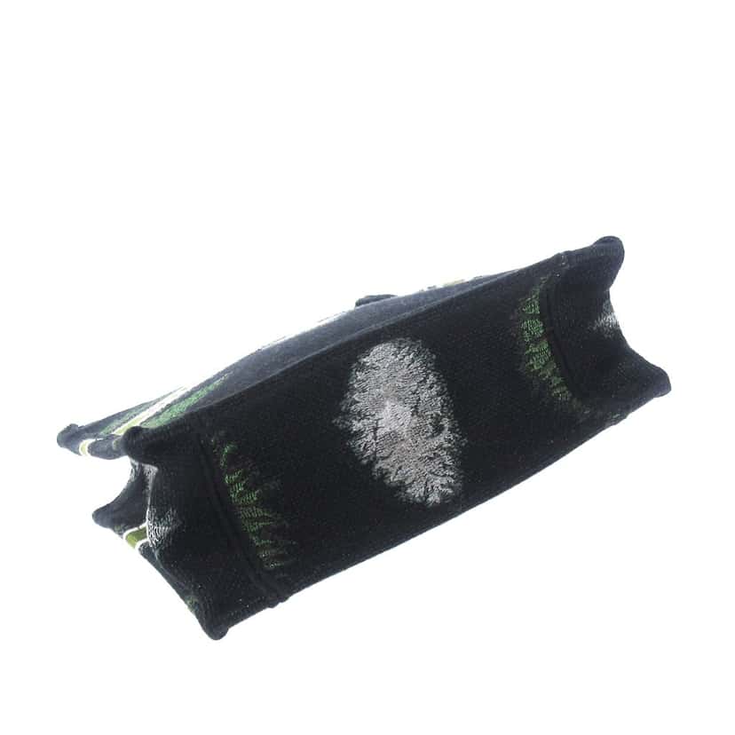 Dior Tie Dye Vertical Book Tote Green Canvas Very good condition - Model View