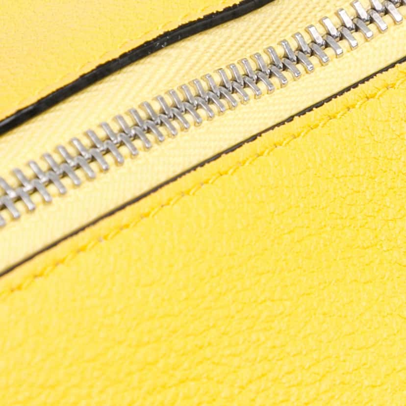 Loewe Mini Calfskin Elephant Crossbody Yellow Leather Good condition - Box View