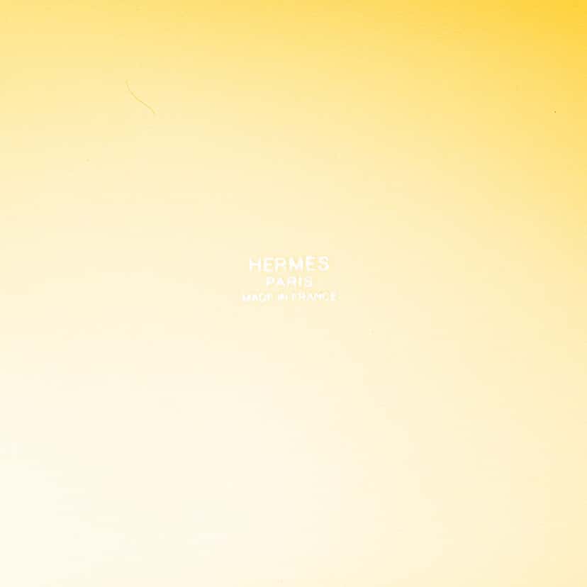 Hermès Toile Goeland and Swift Cargo Picotin Lock 18 Yellow Canvas Good condition - Box View