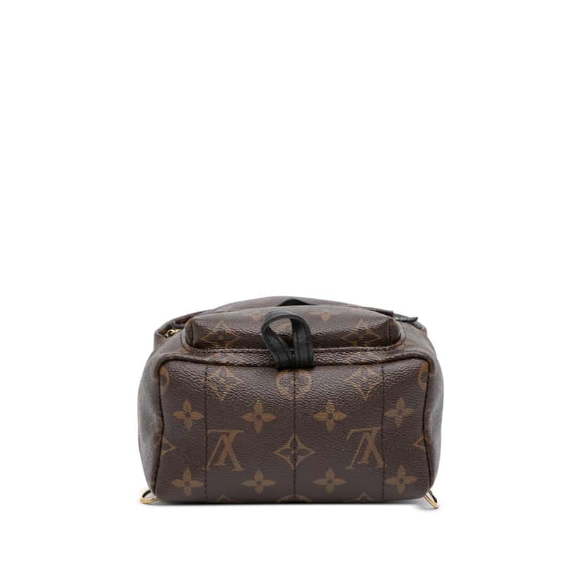 Louis Vuitton Monogram Mini Palm Springs Brown Canvas Good condition - Inside View