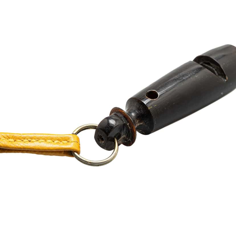 Hermès Leather Ultrasonic Dog Whistle Necklace Yellow Leather Good condition - Box View
