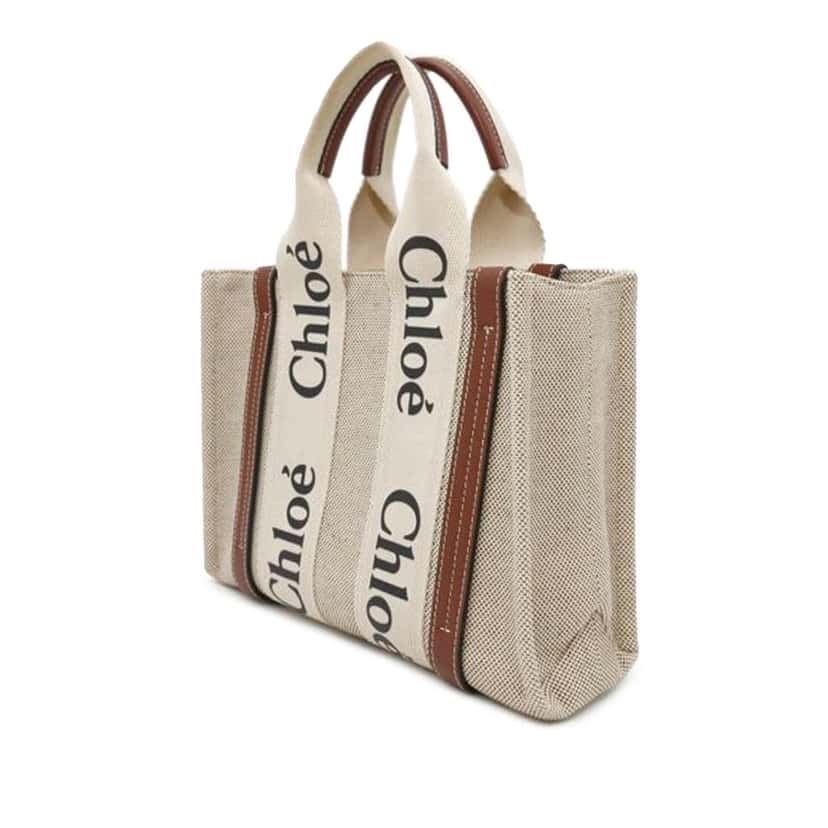 Chloé Small Canvas Woody Tote Brown Canvas Good condition - Back View