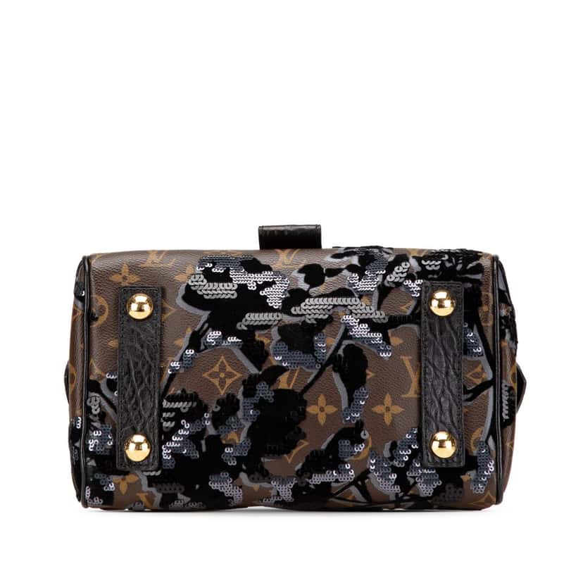 Louis Vuitton Monogram Fleur De Jais Carrousel Brown Canvas Good condition - Inside View