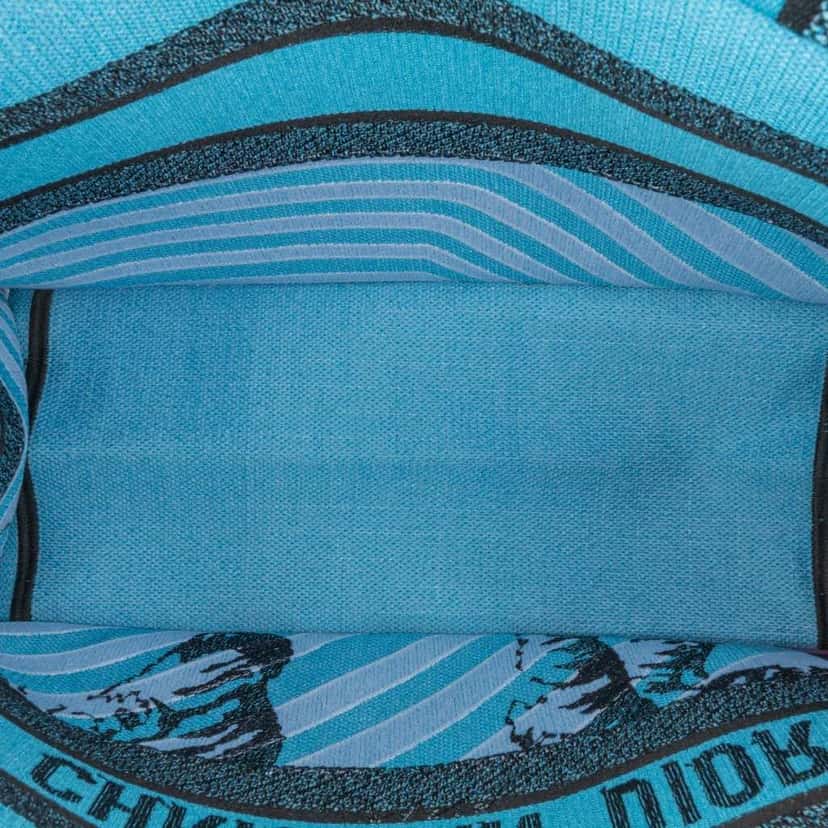 Dior Medium Embroidered Canvas Zebra D Jungle Pop Book Tote Blue Canvas Good condition - Box View