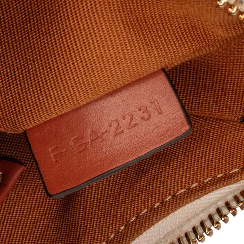 Celine Triomphe Coated Canvas Ava Shoulder Bag Brown Canvas Good condition - Box View