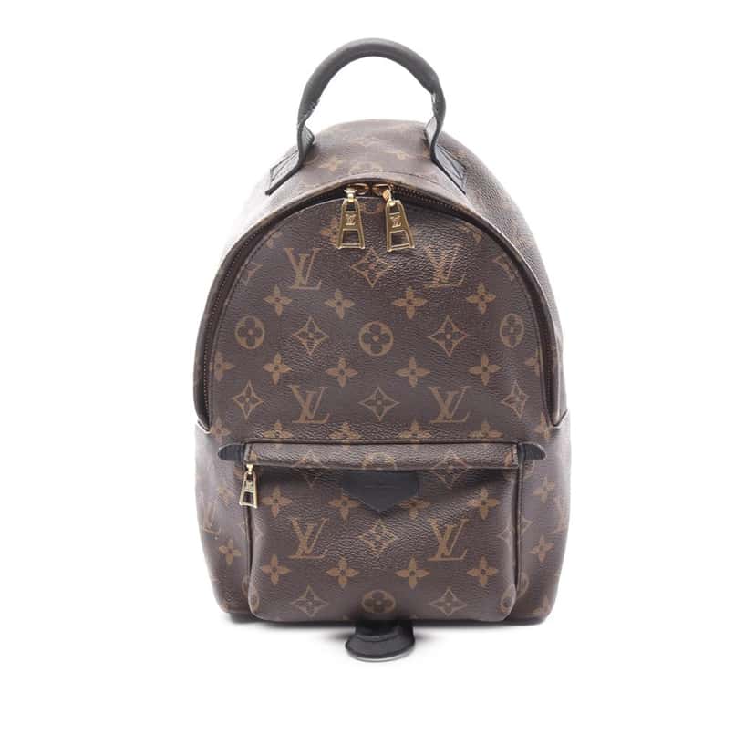 Louis Vuitton Monogram Palm Springs PM Brown Canvas Good condition - Front View