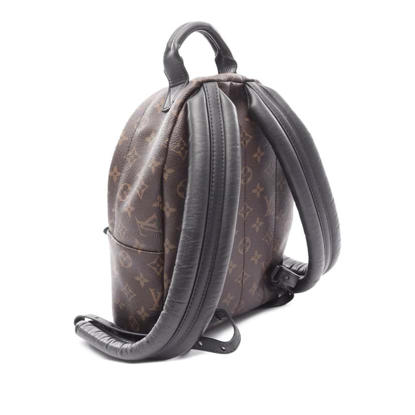Louis Vuitton Monogram Palm Springs PM Brown Canvas Good condition - Back View