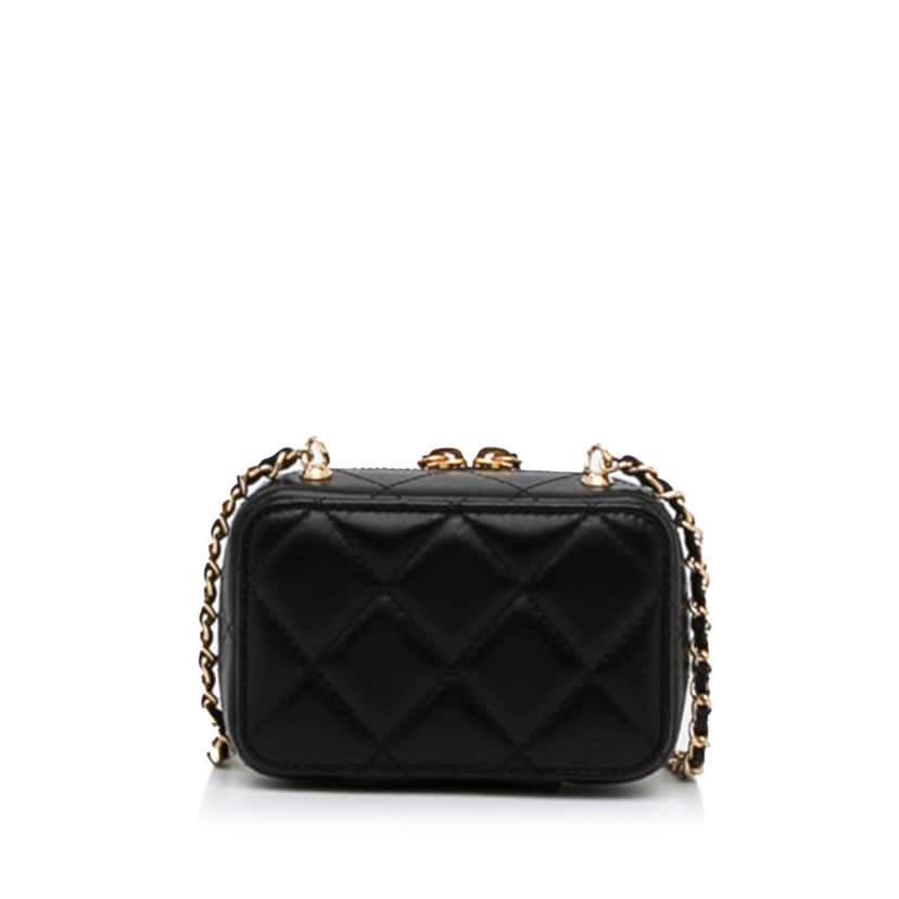Chanel CC Quilted Golden Plate Vanity Crossbody Gold Leather Good condition - Model View