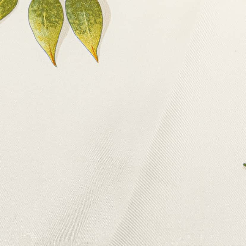 Hermès A Walk In The Park Silk Scarf White Silk Good condition - Box View