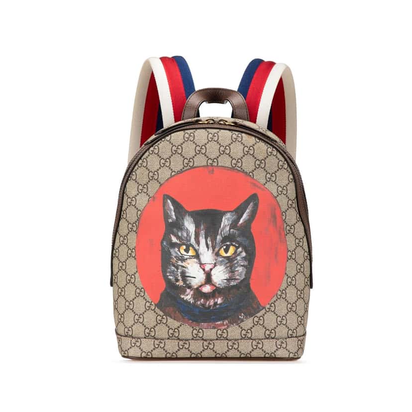 Gucci GG Supreme Bosco Web Backpack Brown Canvas Good condition - Front View