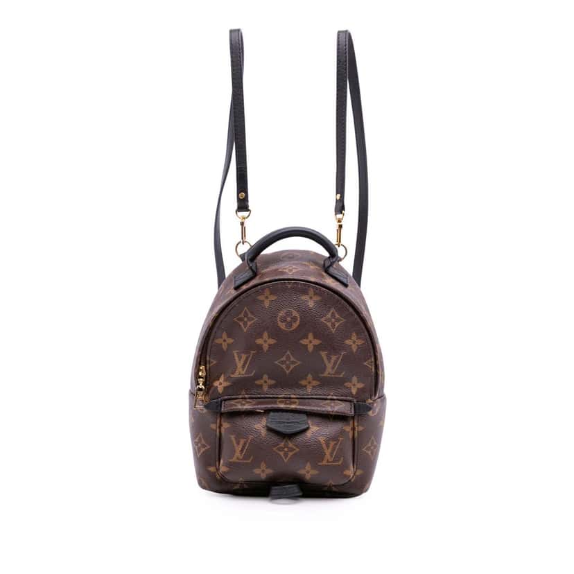 Louis Vuitton Monogram Mini Palm Springs Brown Canvas Good condition - Front View