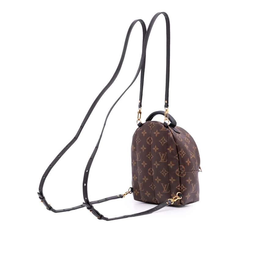 Louis Vuitton Monogram Mini Palm Springs Brown Canvas Good condition - Back View