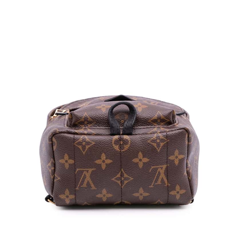 Louis Vuitton Monogram Mini Palm Springs Brown Canvas Good condition - Inside View