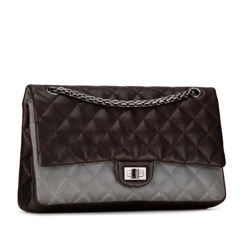 Chanel Caviar and Iridescent Calfskin Reissue 2.55 Double Flap 226 Brown Leather Good condition - Back View